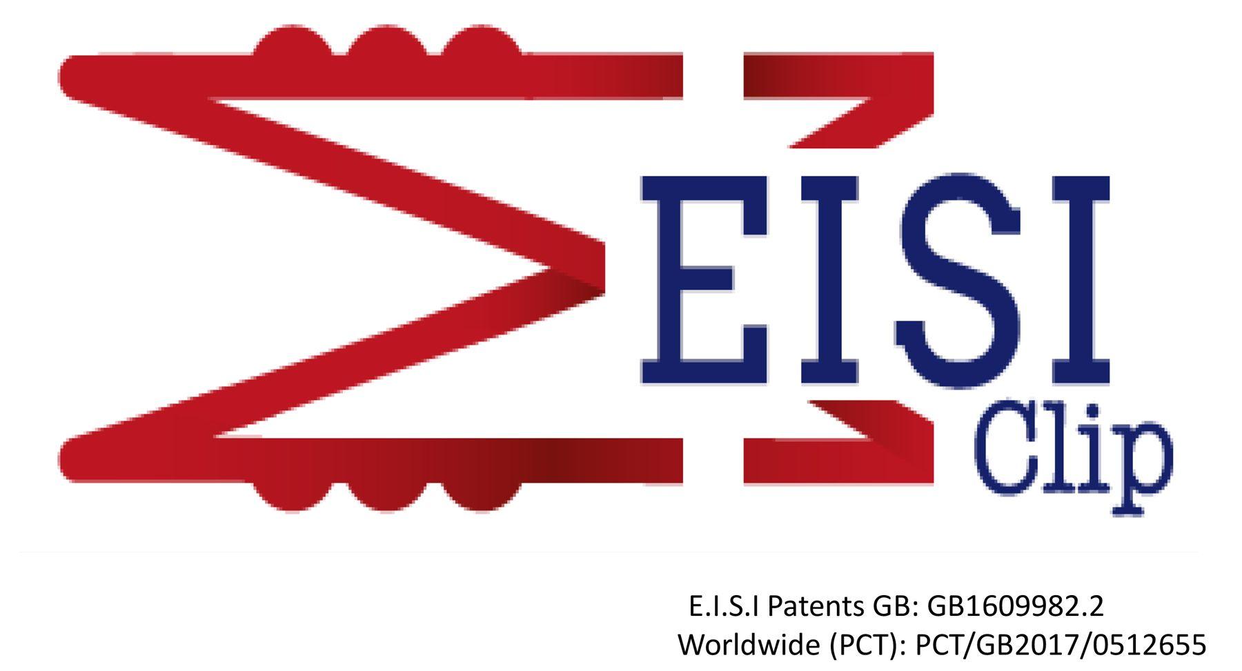 Eisi Logo - eisi.co.uk