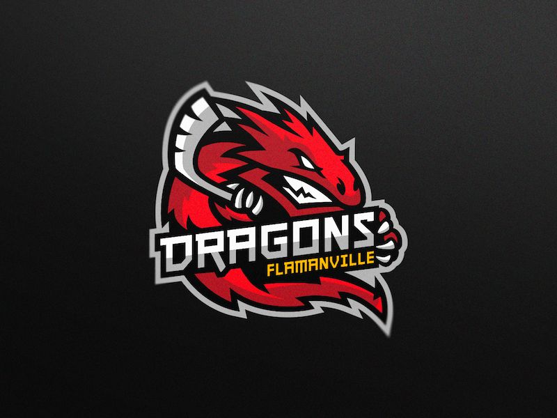 Dragons Logo - Dragons - Roller hockey - Principal logo by Versus | Dribbble | Dribbble