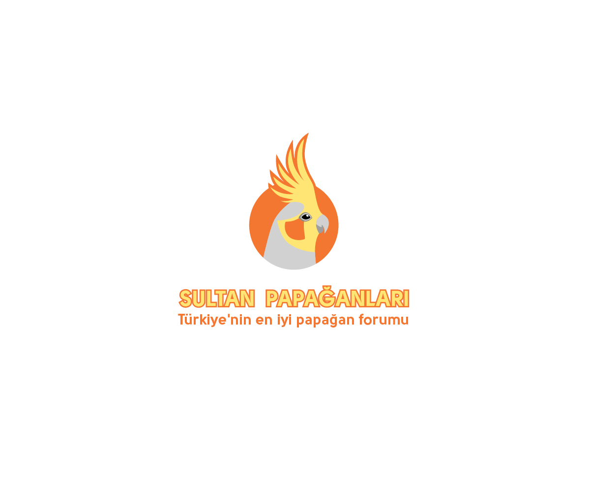 Cockatiel Logo - Professional, Elegant Logo Design for sultan papağanlari