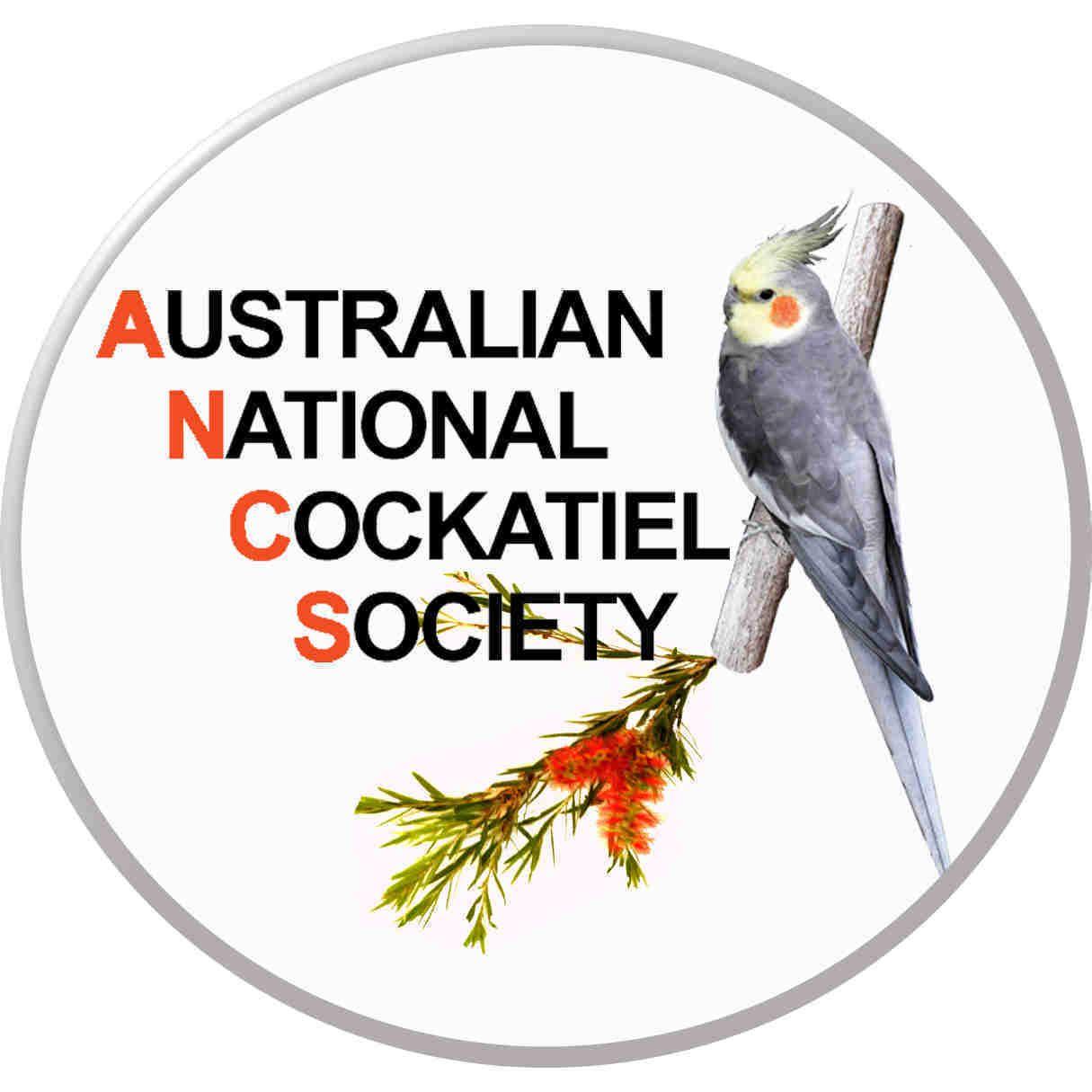 Cockatiel Logo - Cockatiel Mutations
