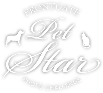 Frontgate Logo - Pet Challenge Gallery - Home + Style