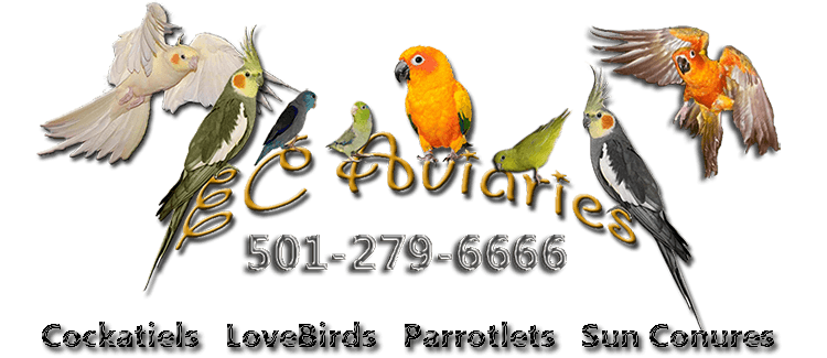 Cockatiel Logo - New Cockatiel Care Sheet