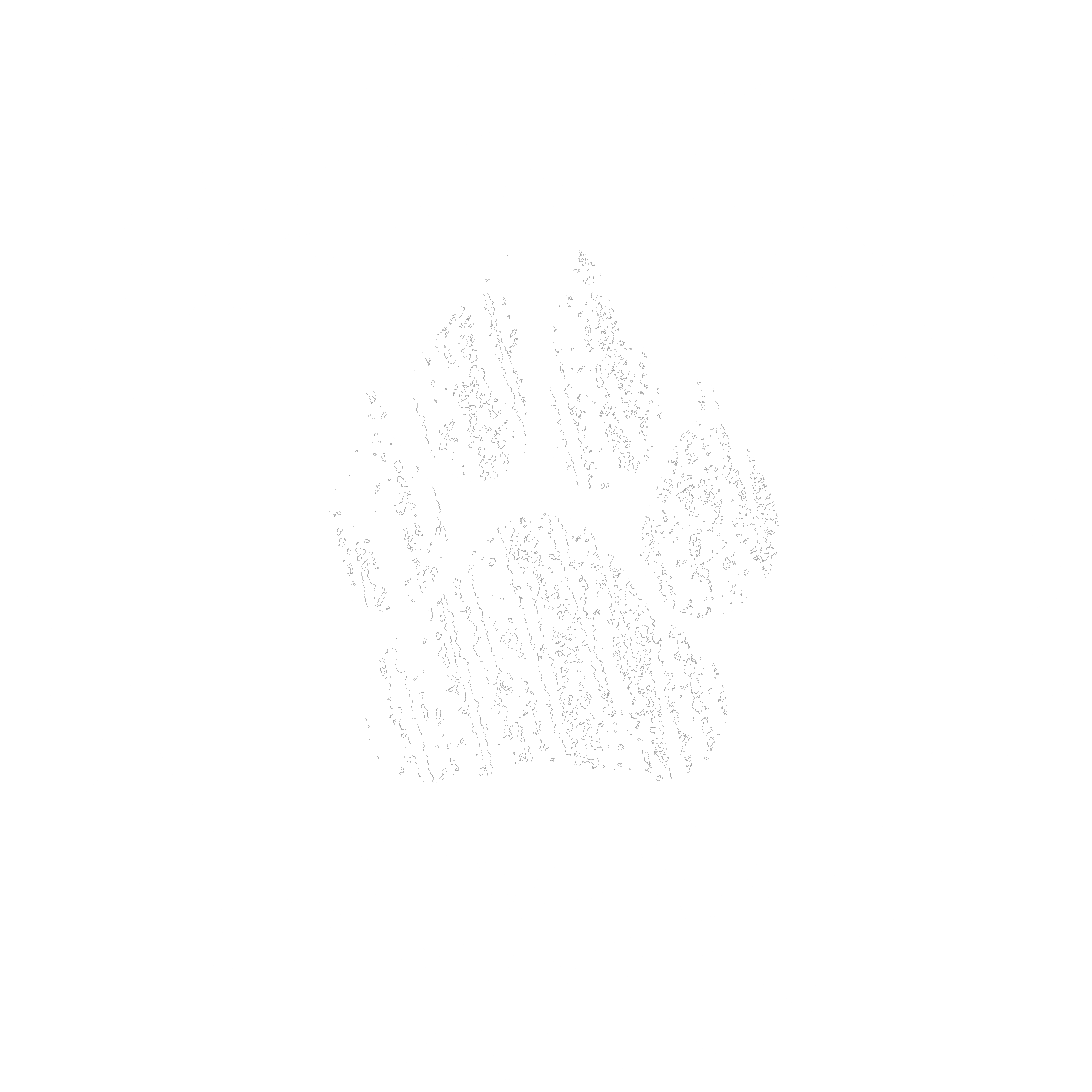 Chainring Logo - Bear Dog Bicycles | A locally-owned bike shop in Pittsburgh, PA