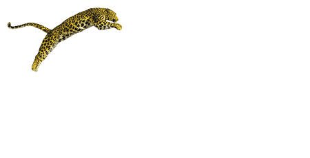 Locarno Logo - Search - Locarno Festival