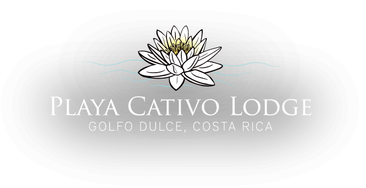 Playa Logo - Costa Rica Lodging and Resorts All Inclusive | Playa Cativo