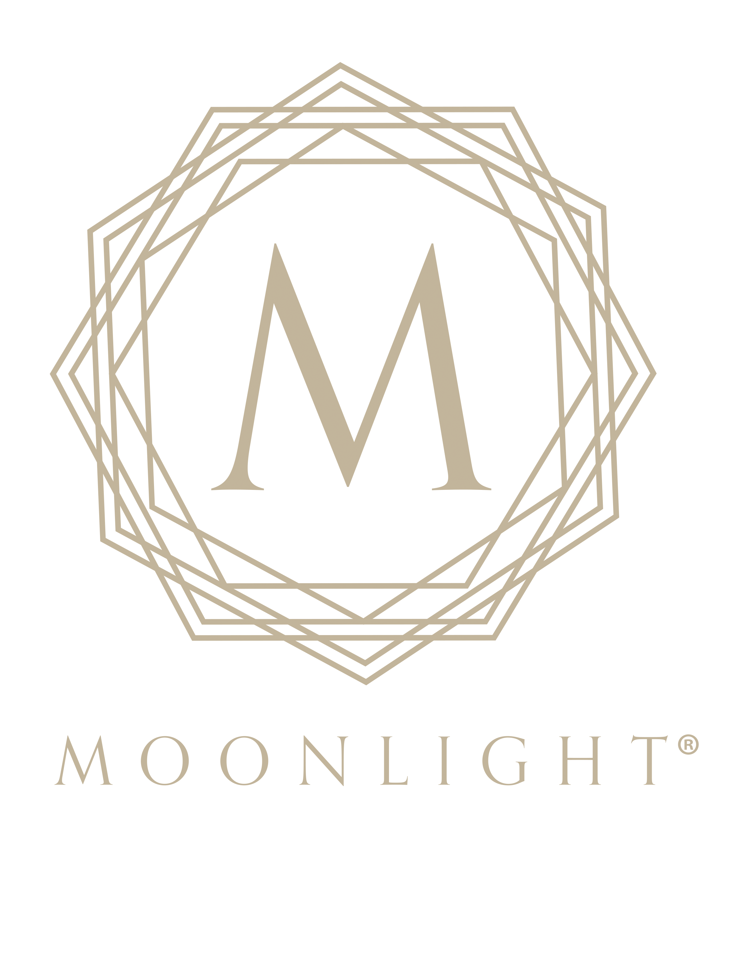 Moonlight Logo - View Employer | StyleCareers.com