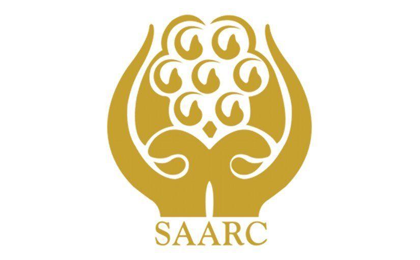 Safta Logo - Failure Of Institutionalised Cooperation In South Asia