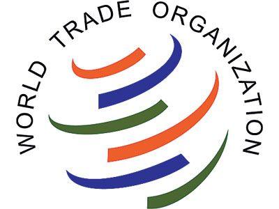 Safta Logo - WTO and SAFTA | kullabs.com