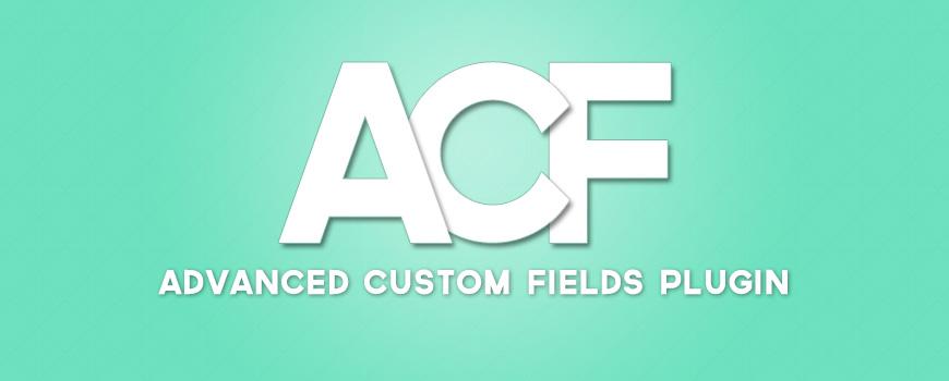 ACF Logo - 4 Essential Code Clips for the Advanced Custom Fields Plugin ...