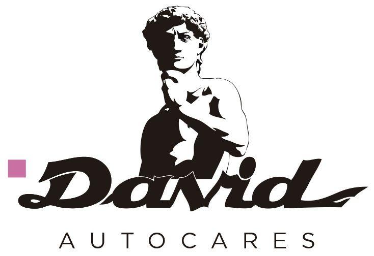 David Logo - Alquiler de Autocares, Alquiler de Microbuses, Autocares David