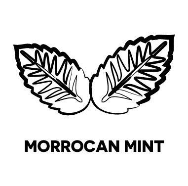 Spearmint Logo - Moroccan mint -A little green tea, gunpowder for that sharp touch ...