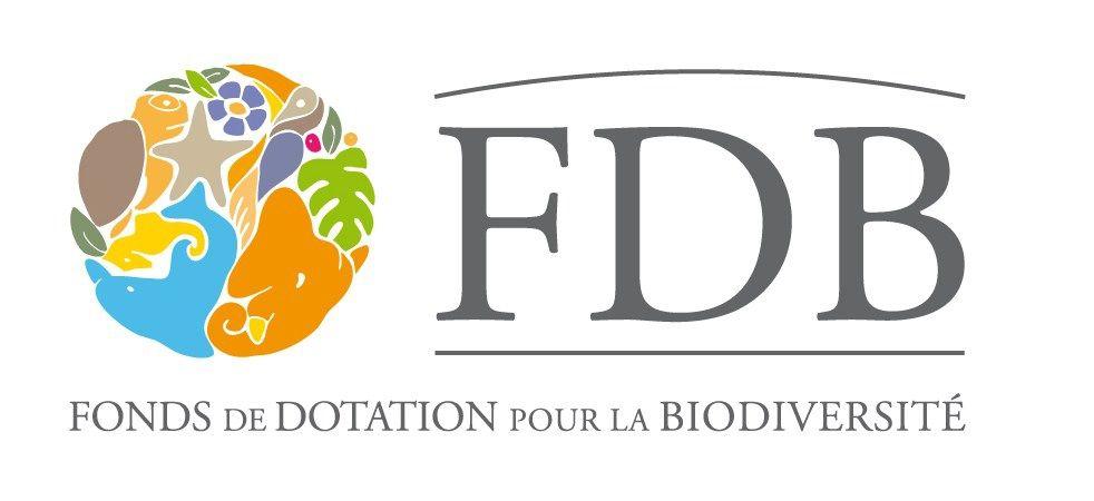 Fdb Logo - Logo FDB couleur | Save Your Logo