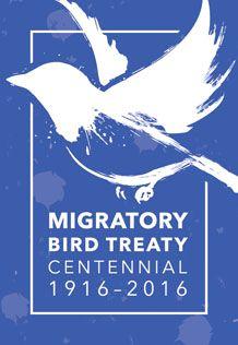 USFWS Logo - Looking Back 100 Years, At The Migratory Bird Treaty: A Bird's Eye
