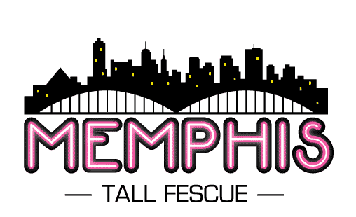 Memphis Logo - Rapid Establishing Turf Tall Fescue: Memphis. Grassland Oregon