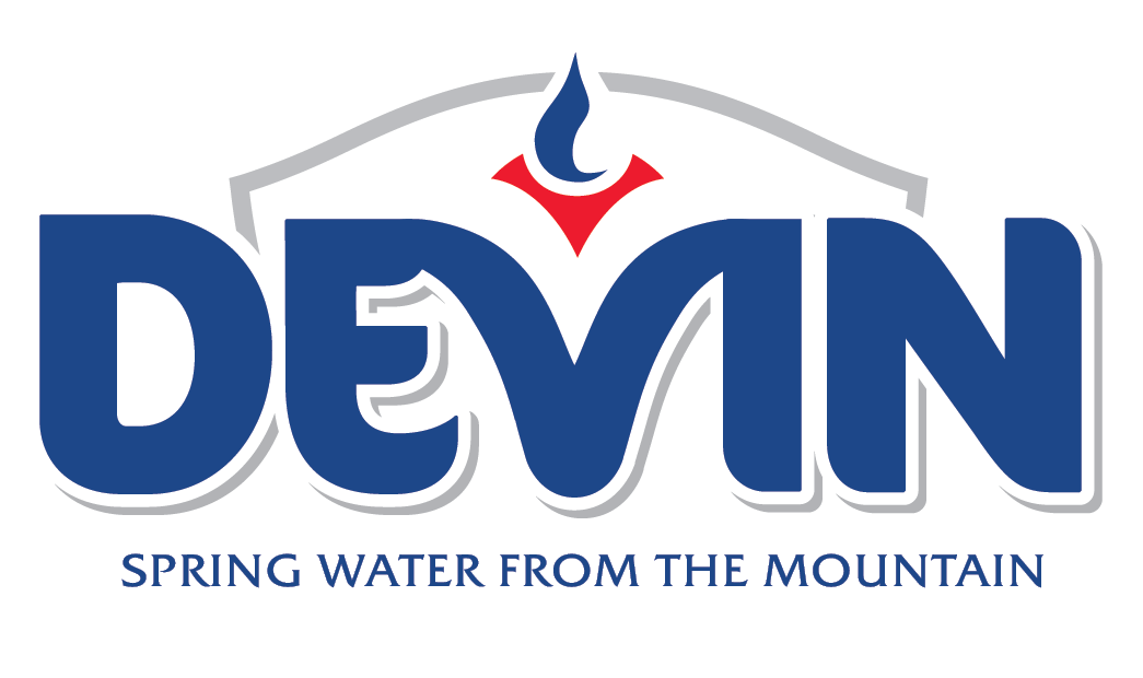 Devin Logo - Portfolio