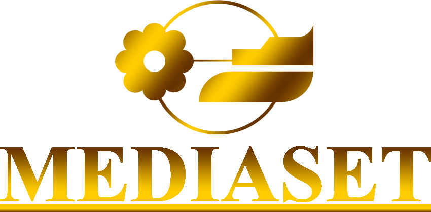 Mediaset Logo - Mediaset | Logopedia | FANDOM powered by Wikia