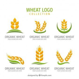 Wheat Logo - Wheat Logo Vectors, Photos and PSD files | Free Download