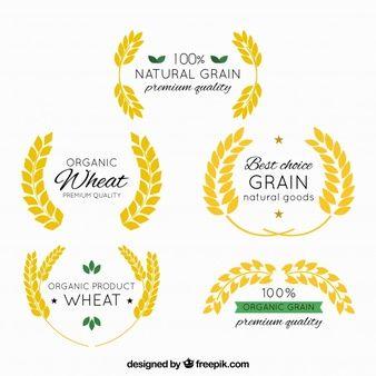 Wheat Logo - Wheat Logo Vectors, Photos and PSD files | Free Download