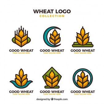 Wheat Logo - Wheat Logo Vectors, Photos and PSD files | Free Download