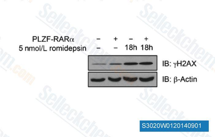 Istodax Logo - Romidepsin (FK228, Depsipeptide) | HDAC inhibitor | Read Reviews ...