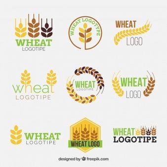 Wheat Logo - Wheat Logo Vectors, Photo and PSD files