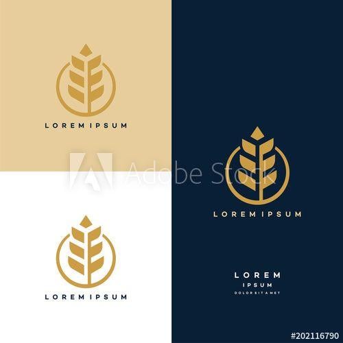 Wheat Logo - Luxury Grain wheat logo concept, Agriculture wheat Logo Template ...