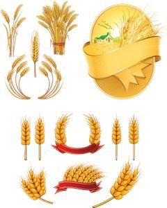 Wheat Logo - Wheat Logo Vector (.AI) Free Download