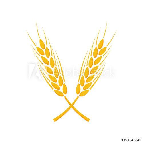 Wheat Logo - Agriculture wheat Logo Template. Vector illustration - Buy this ...