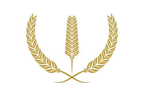 Wheat Logo - Kansas Wheat Logo Research | Daniel & Devon Genser | Flickr