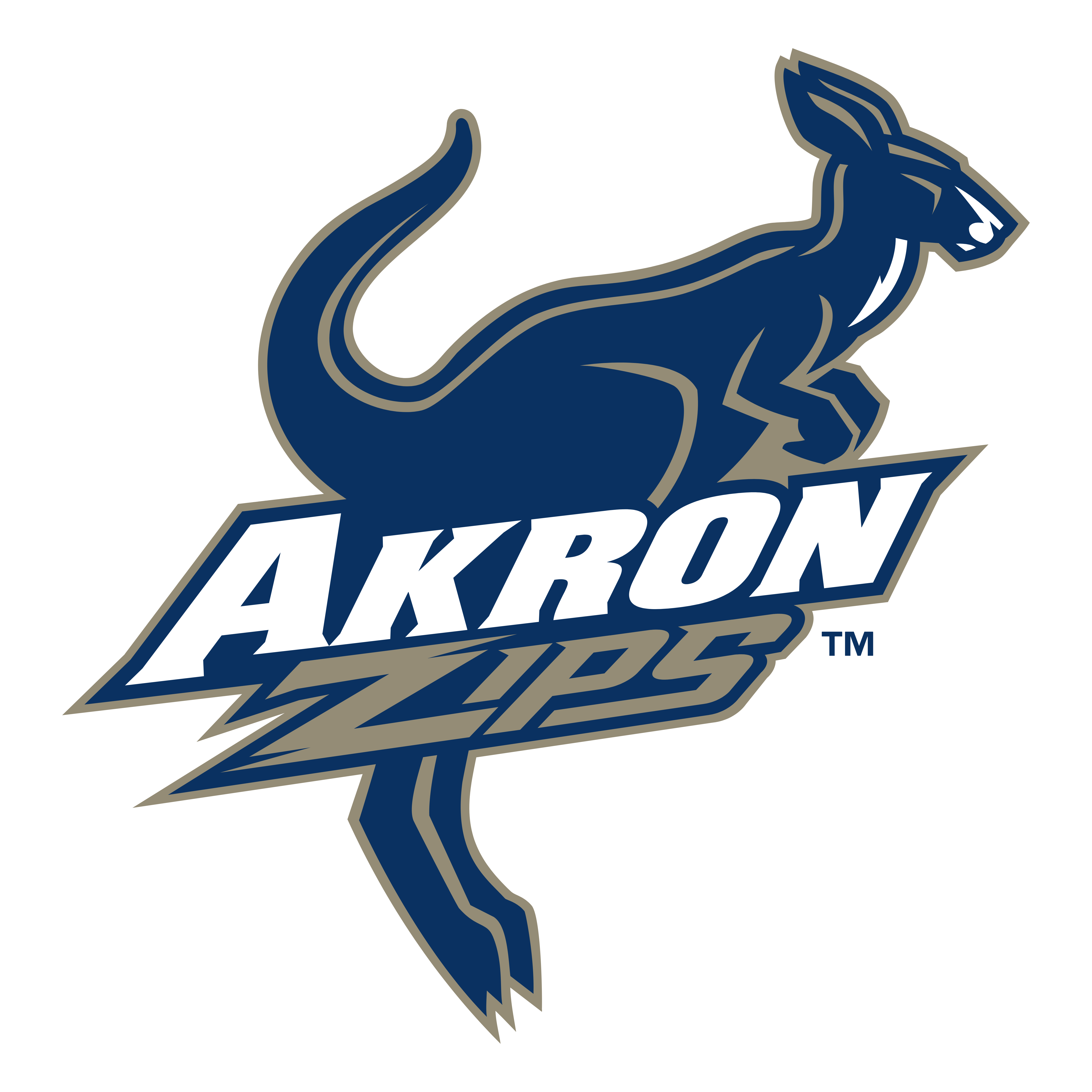 Akron Logo - Akron Zips – Logos Download