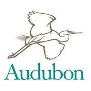 Audubon Logo - National Audubon Society
