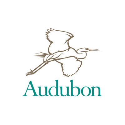 Audubon Logo - DRG Search
