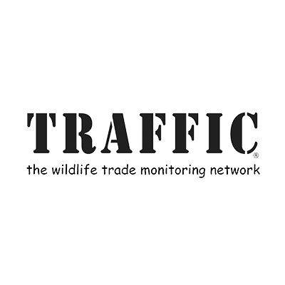 Traffic.com Logo - TRAFFIC (@TRAFFIC_WLTrade) | Twitter