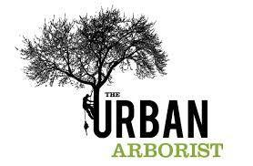 Arborist Logo - arborist silhouette - Google Search | Design | Tree logos, Logos ...