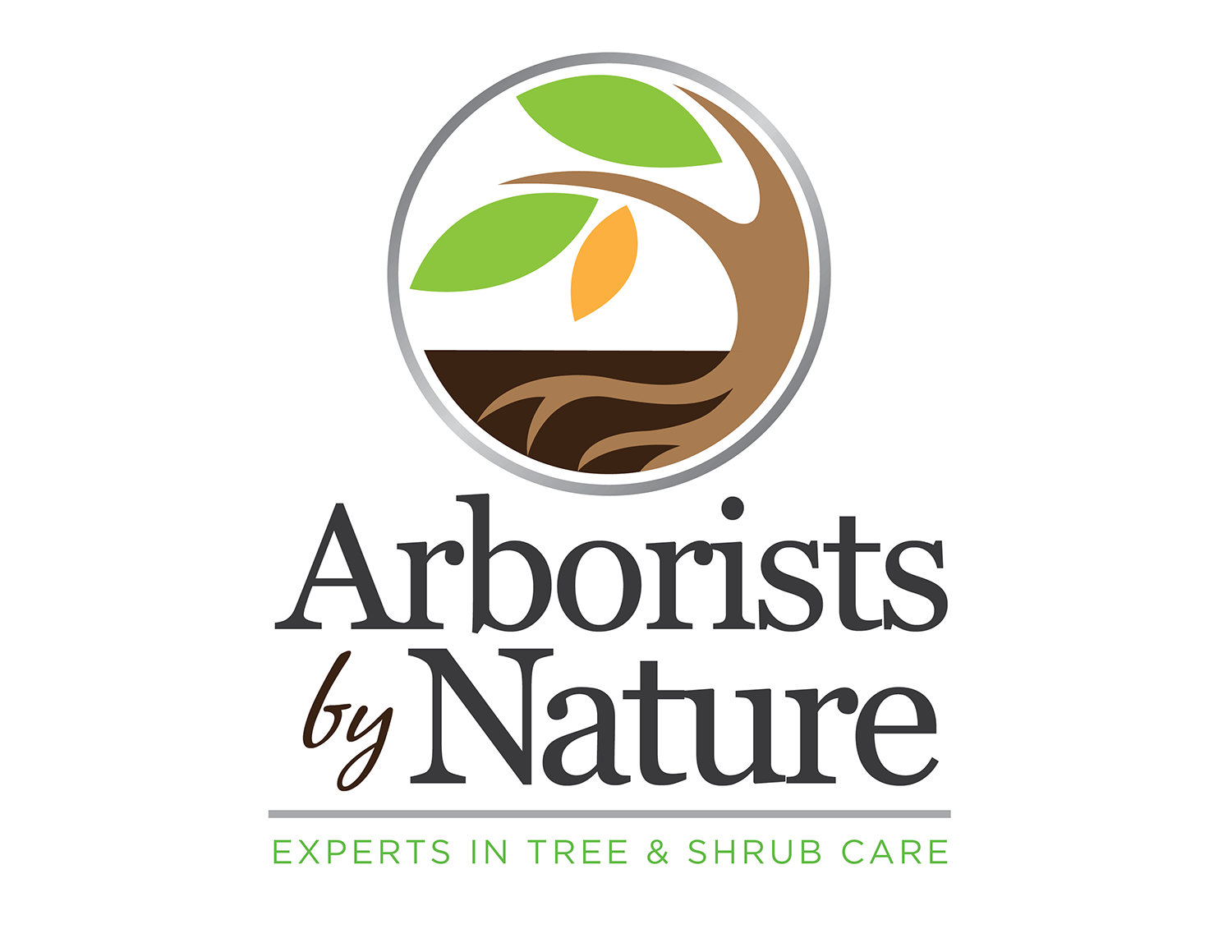 Arborist Logo - Arborist Logo Design Presentation - Hudson Valley Graphic Design