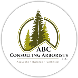 Arborist Logo - ABC Consulting Arborists - Spokane, WA