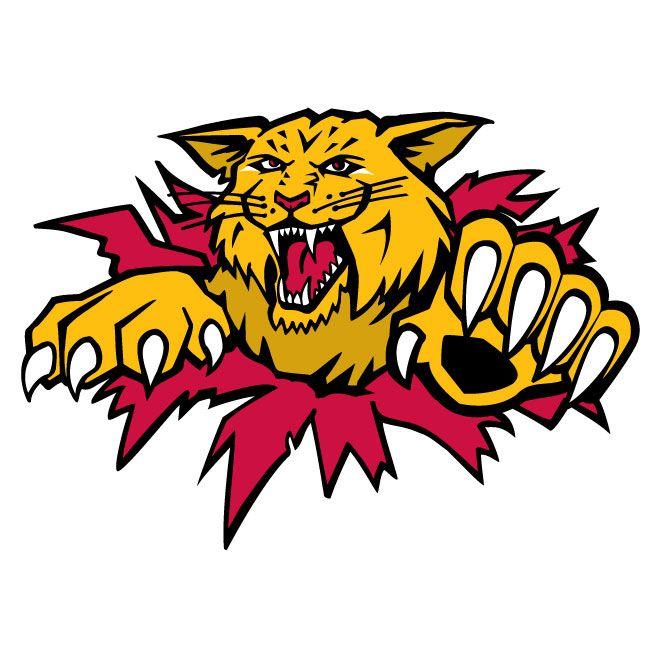 Wildkats Logo - MONCTON WILDCATS VECTOR LOGO