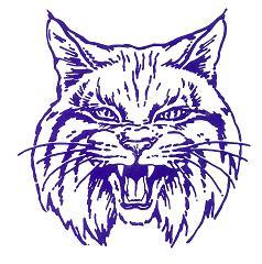 Wildkats Logo - WILLIS WILDKATS