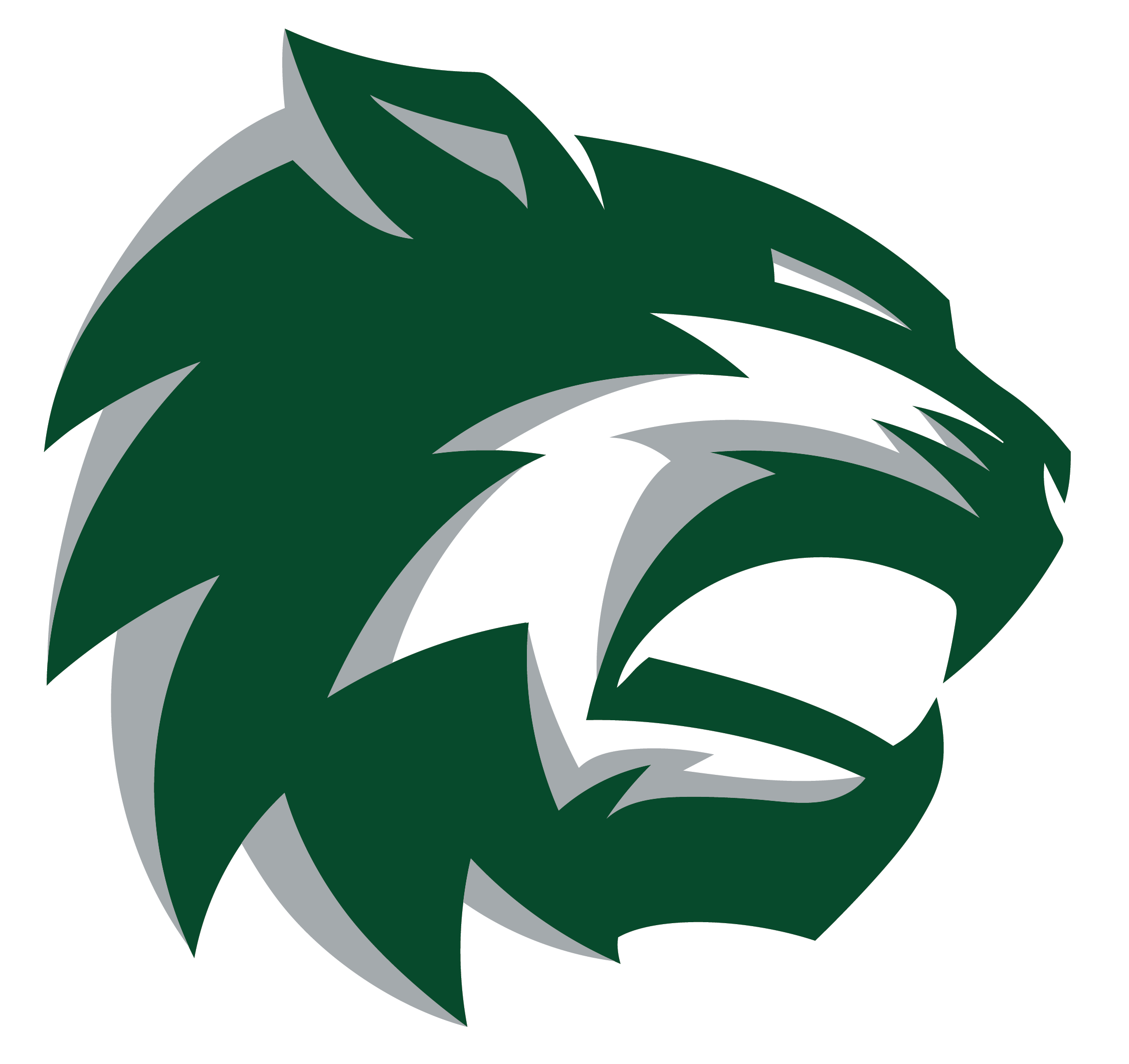 Wildkats Logo - De Soto - Team Home De Soto Wildcats Sports