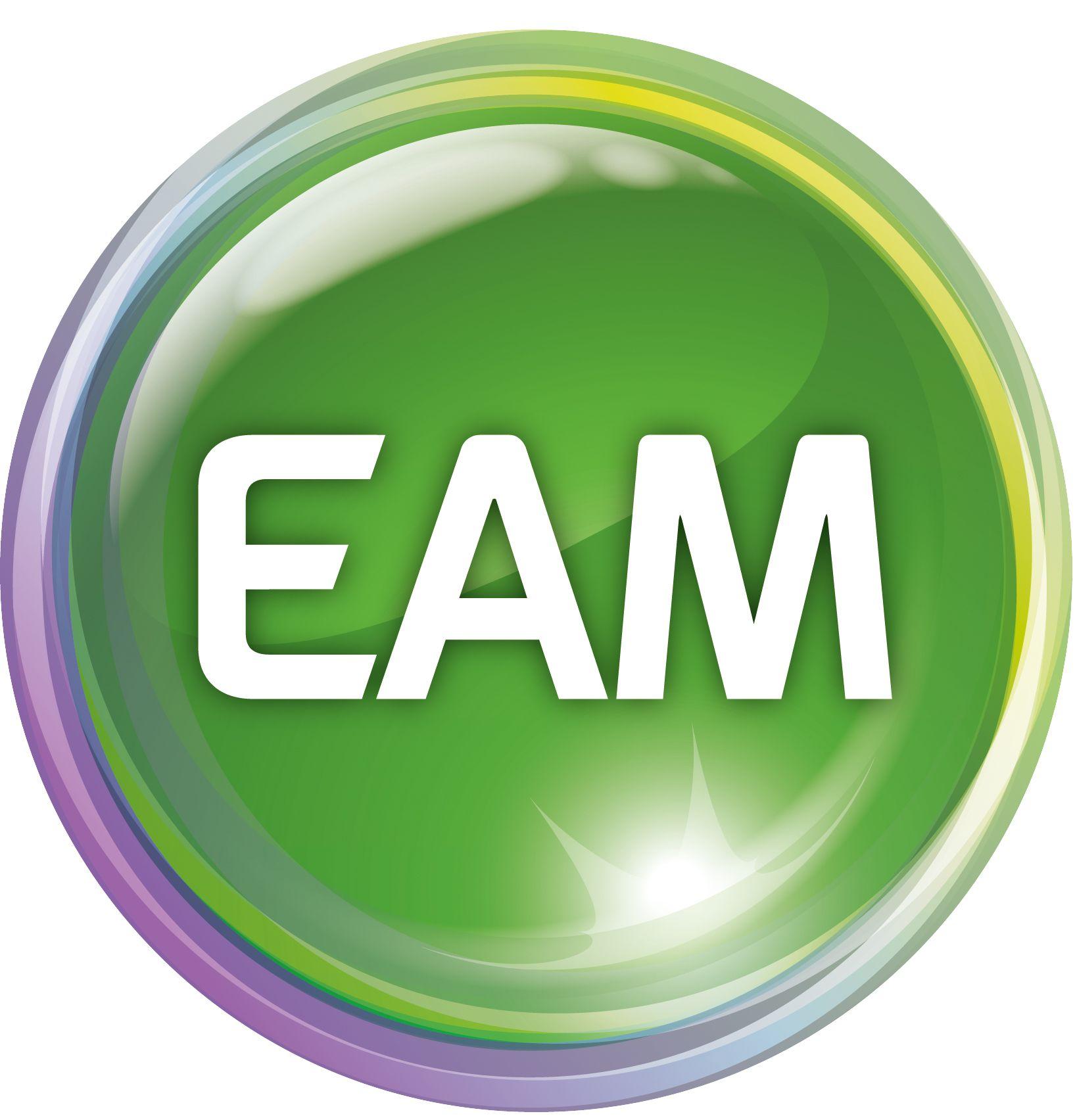 EAM Logo - New collaboration with EAM, key DSO in central Germany - DEPsys