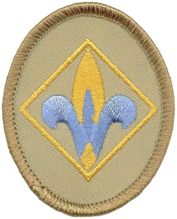 Webelos Logo - Webelos Oval Rank Emblem | Boy Scouts of America
