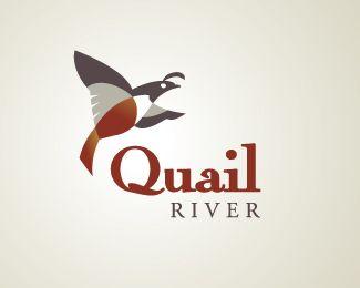Quail Logo - Gold Quail logo design