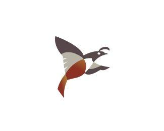 Quail Logo - Quail Designed