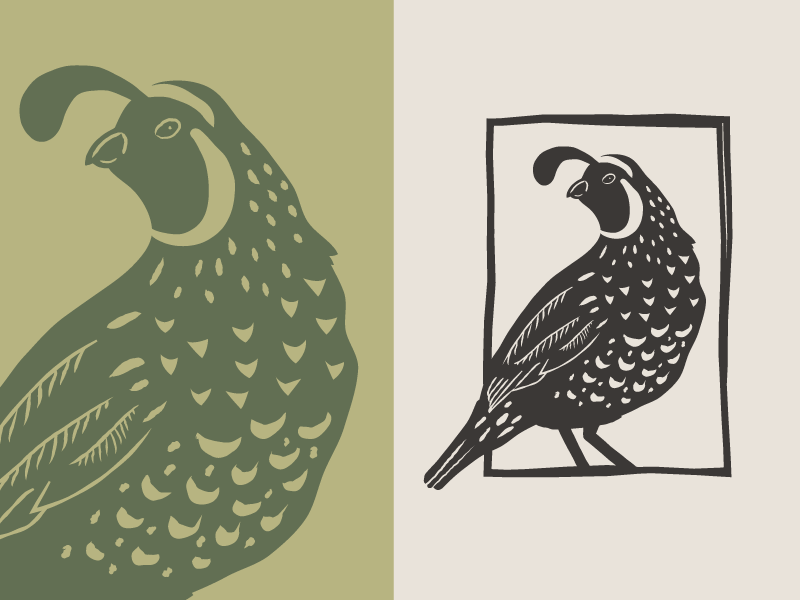 Quail Logo - Inmendo – Quail Logo by Emily Holt | Dribbble | Dribbble