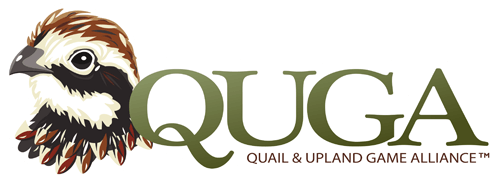 Quail Logo - Home