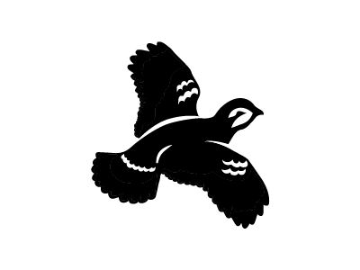 Quail Logo - Quail