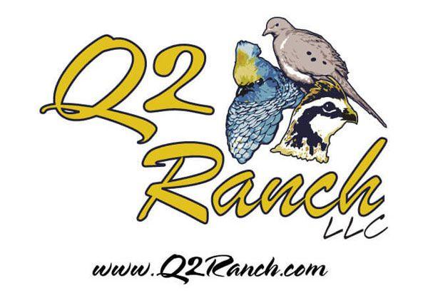 Quail Logo - Custom Quail Hunting Logo. Quail Logos. Hunting Logo Designers