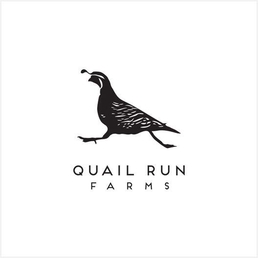 Quail Logo - Quail Run Farms — Chelsea Jones