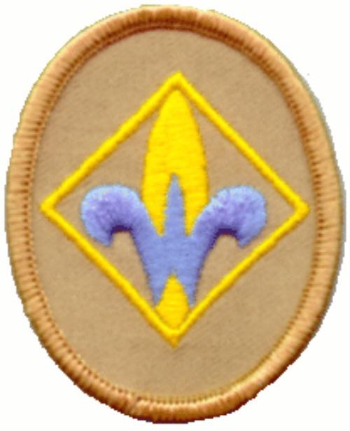 Webelos Logo - Public Uniform Guide - Cub Scout Pack 825 (summerville, South Carolina)