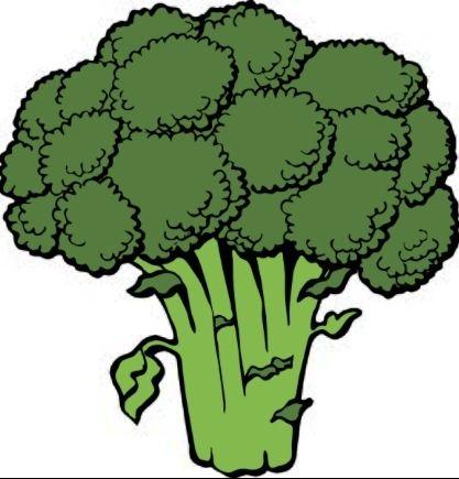 Broccoli Logo - Broccoli Laboratory